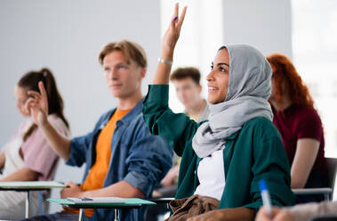 Eine Gruppe von Universitätsstudenten sitzt in einem Klassenzimmer und lernt. - HPIF06177