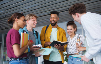 Eine Gruppe fröhlicher Studenten steht in einem Korridor, unterhält sich und lacht. - HPIF06203