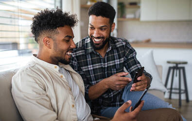 Porträt von jungen Studentenbrüdern in der Küche zu Hause, die ein Smartphone benutzen. - HPIF06294