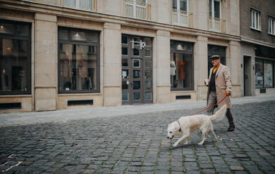 Seitenansicht eines eleganten älteren Mannes mit Kaffee zum Mitnehmen, der mit seinem Hund im Freien in der Stadt im Winter spazieren geht. - HPIF06343