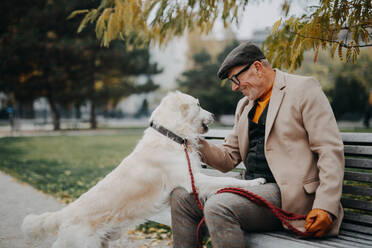 A happy senior man sitting on bench and embracing his dog outdoors in park in city. - HPIF06350