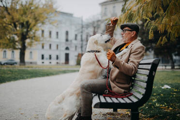 A happy senior man sitting on bench and and training his dog outdoors in city. - HPIF06352