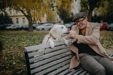 A happy senior man sitting on bench and resting during dog walk outdoors in city. - HPIF06355