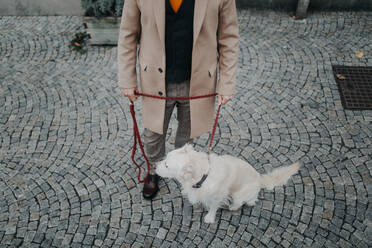 Ein tiefer Ausschnitt eines eleganten älteren Mannes, der mit seinem Hund in der Stadt spazieren geht. - HPIF06364