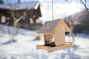 Ein hölzernes Vogelfutterhaus mit Samen, die von einem Baum im Wintergarten gereicht werden. - HPIF06444