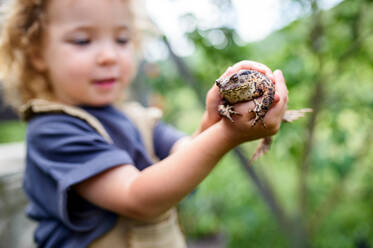 Nahaufnahme eines glücklichen kleinen Mädchens, das im Sommer im Freien einen Frosch hält. - HPIF06488