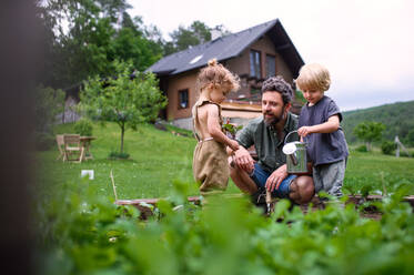 Portrait of small children with father working in vegetable garden, sustainable lifestyle. - HPIF06498