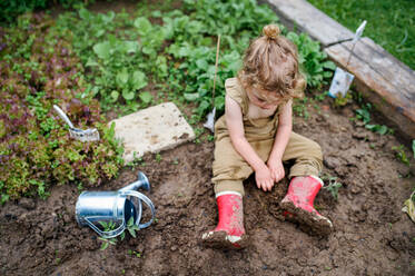 Draufsicht auf kleines Mädchen bei der Arbeit im Gemüsegarten, nachhaltiges Lebensstilkonzept. - HPIF06499