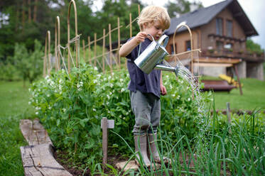 Hipster young woman watering plants a country house, summer and garden  care, organic products, eco-friendly lifestyle Stock Photo