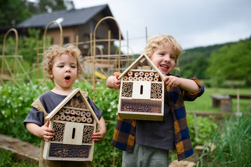 Porträt eines kleinen Jungen und eines Mädchens, die einen Käfer und ein Insektenhotel im Garten halten, nachhaltiger Lebensstil. - HPIF06522