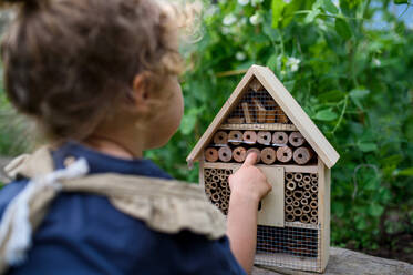 A rear view of small girl playing with bug and insect hotel in garden, sustainable lifestyle. - HPIF06524