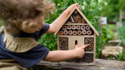 A rear view of small girl playing with bug and insect hotel in garden, sustainable lifestyle. - HPIF06525