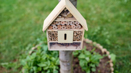 Vorderansicht eines Insektenhotels auf einem Baum im Garten, nachhaltiger Lebensstil. - HPIF06530