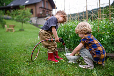 Zwei kleine Kinder im Gemüsegarten, nachhaltiger Lebensstil Konzept. - HPIF06539