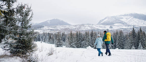 Rückansicht eines Vaters mit seiner kleinen Tochter bei einem Spaziergang in der winterlichen Natur, Tatra-Gebirge, Slowakei. - HPIF06554