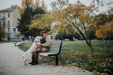 A happy senior man sitting on bench training and stroking his dog outdoors in city. - HPIF06839