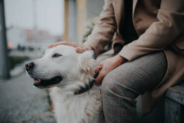 A midsection of unrecognizable senior man sitting on bench and resting during dog walk outdoors in city. - HPIF06843