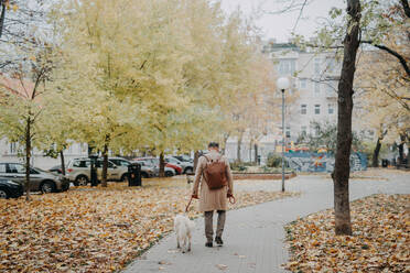 Rückansicht eines älteren Mannes, der an einem Herbsttag mit seinem Hund im Park spazieren geht. - HPIF06847