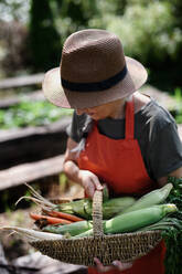 An unrecognizable senior female farmer carrying basket with homegrown vegetables outdoors at community farm. - HPIF06888