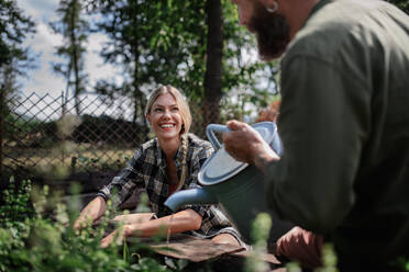 A happy mid woman farmer looking at unrecognizable man watering plants outdoors in garden. - HPIF06889