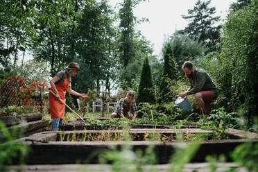 Fröhliche junge und alte Landwirte bei der Arbeit mit Gartengeräten im Freien auf einem Gemeinschaftshof. - HPIF06890