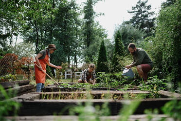 Happy young and old farmers working with garden tools outdoors at a community farm. - HPIF06890