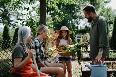 A happy farmer family looking at their harvest outdoors in garden. - HPIF06898