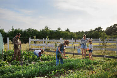 Fröhliche junge und alte Landwirte oder Gärtner bei der Arbeit im Freien auf einem Gemeinschaftshof. - HPIF06944