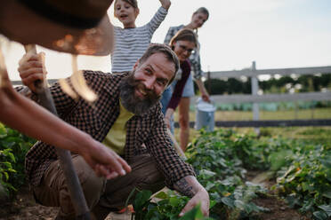 Happy young and old farmers or gardeners working outdoors at a community farm. - HPIF06945