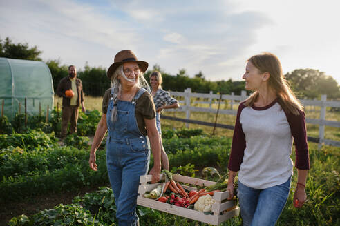 Happy mid adult female farmer with senior friend carrying crate with homegrown vegetables community farm. - HPIF06952