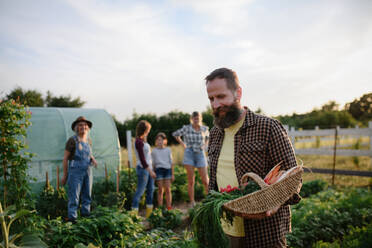 Ein glücklicher, reifer Mann trägt eine Kiste mit selbst angebautem Gemüse auf einem kommunalen Bauernhof. - HPIF06955