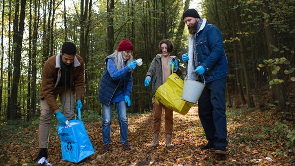 A diverse group of happy volunteers cleaning up forest from waste, community service concept. - HPIF06967