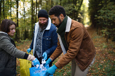 A diverse group of volunteers cleaning up forest from waste, community service concept. - HPIF06972