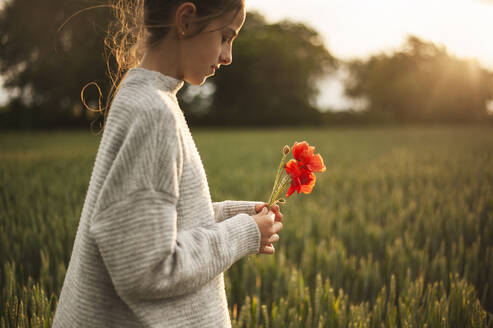 Mädchen mit Mohnblume im grünen Feld bei Sonnenuntergang - ALKF00153