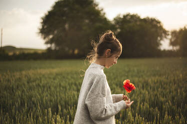 Mädchen mit Mohnblume im grünen Feld - ALKF00154