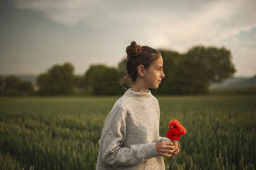 Nachdenkliches Mädchen mit Mohnblumen im Feld bei Sonnenuntergang - ALKF00157