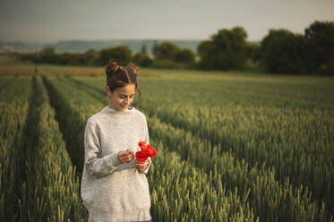 Lächelndes Mädchen mit roten Blumen auf einem Feld - ALKF00158