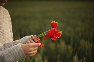 Hand eines Mädchens, das Blütenblätter von einer Mohnblume abreißt - ALKF00159