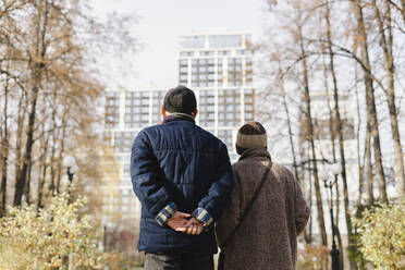 Älterer Mann und Frau spazieren im Herbstpark - SEAF01760