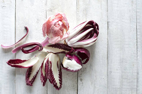 Raw radicchio lying on white wooden surface - ASF06851