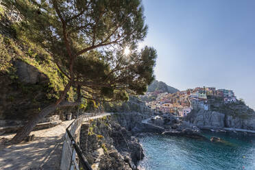 Italien, Ligurien, Manarola, Küstenwanderweg zum historischen Dorf entlang der Cinque Terre - FOF13477