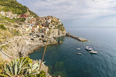 Italy, Liguria, Manarola, View of historic village along Cinque Terre - FOF13484