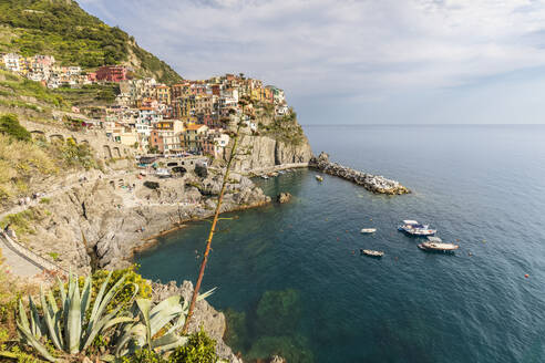 Italien, Ligurien, Manarola, Blick auf das historische Dorf entlang der Cinque Terre - FOF13484