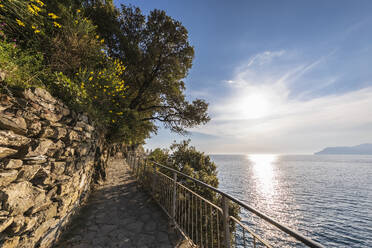 Italien, Ligurien, Manarola, Wanderweg entlang der Küste der Cinque Terre bei Sonnenuntergang - FOF13487