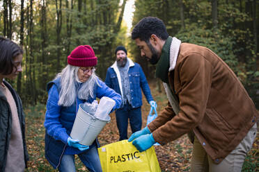 Eine bunt gemischte Gruppe von Freiwilligen säubert den Wald von Abfällen, Konzept der gemeinnützigen Arbeit - HPIF07115