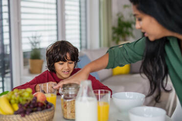 Ein kleiner Junge frühstückt mit seiner Mutter zu Hause. - HPIF07338