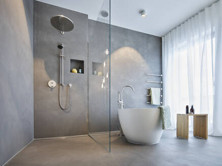 Bath tub and shower area in modern apartment - RORF03418