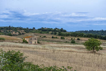 Italien, Latium, Einsames Haus auf dem Lande, umgeben von einem grasbewachsenen Feld in der Abenddämmerung - MAMF02587