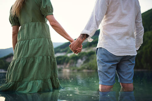 A rear view of mature couple in love standing in nature, holding hands. - HPIF07504