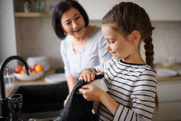 A happy small girl with senior grandmother indoors at home drying dishes. - HPIF07520